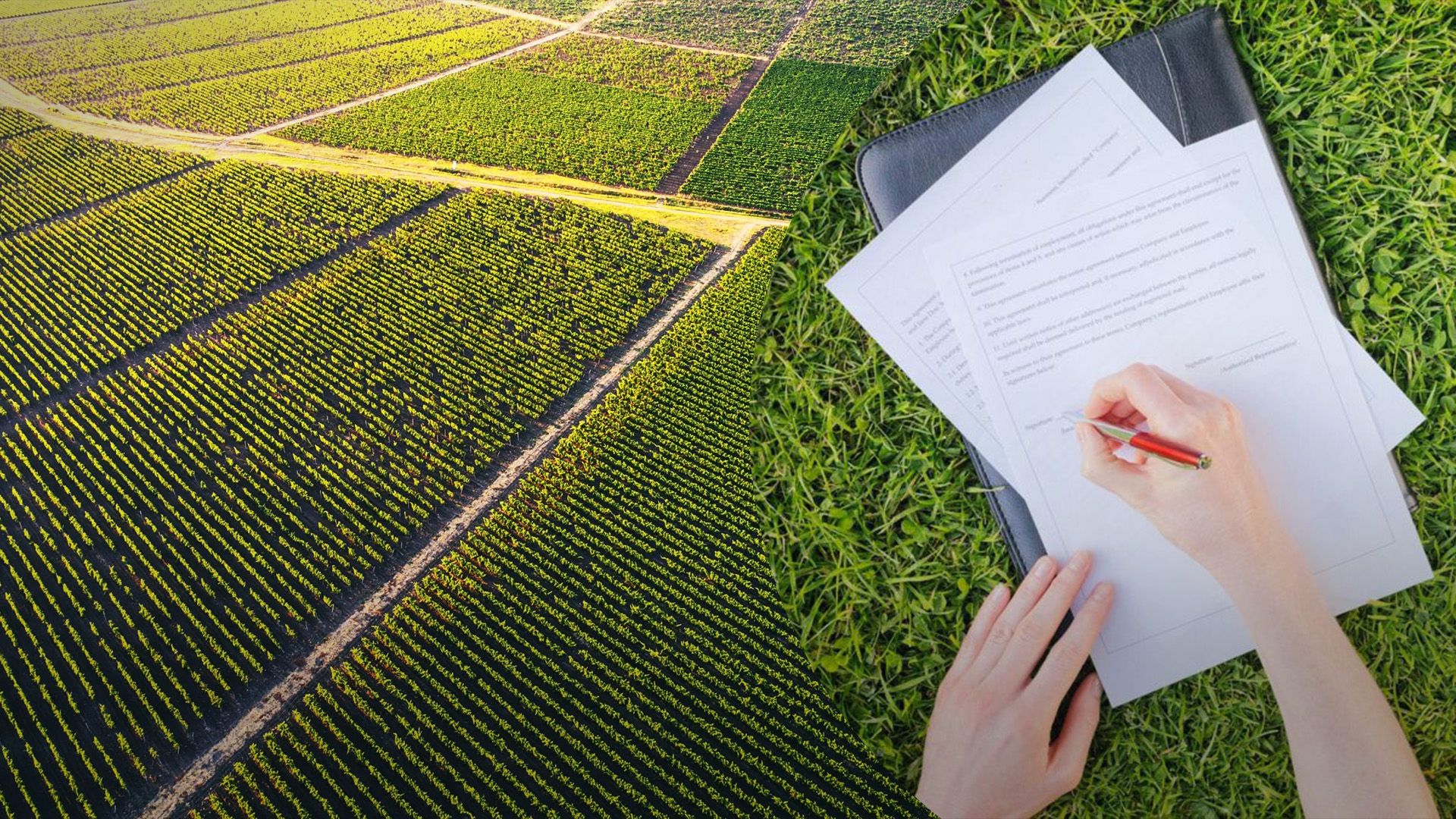 Можно ли продать неприватизированный участок Можно ли продать неприватизированный участок