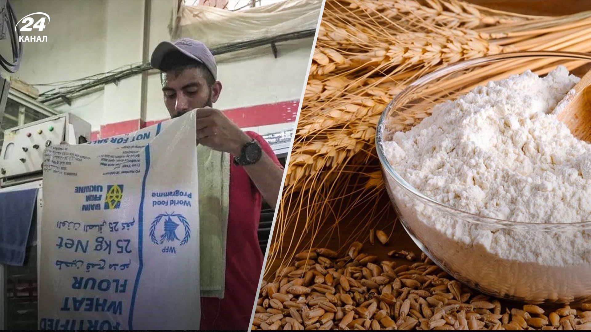 Україна доправила 1000 тонн борошна в Газу Україна доправила 1000 тонн борошна в Газу