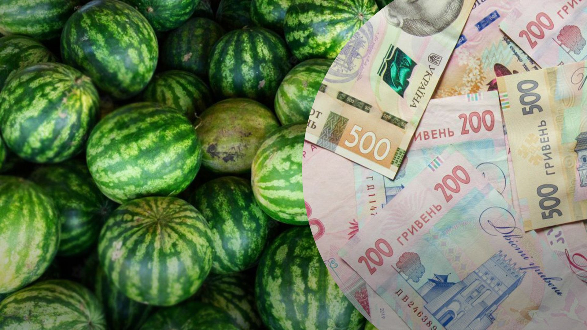 Арбузы скоро исчезнут из продажи Арбузы скоро исчезнут из продажи