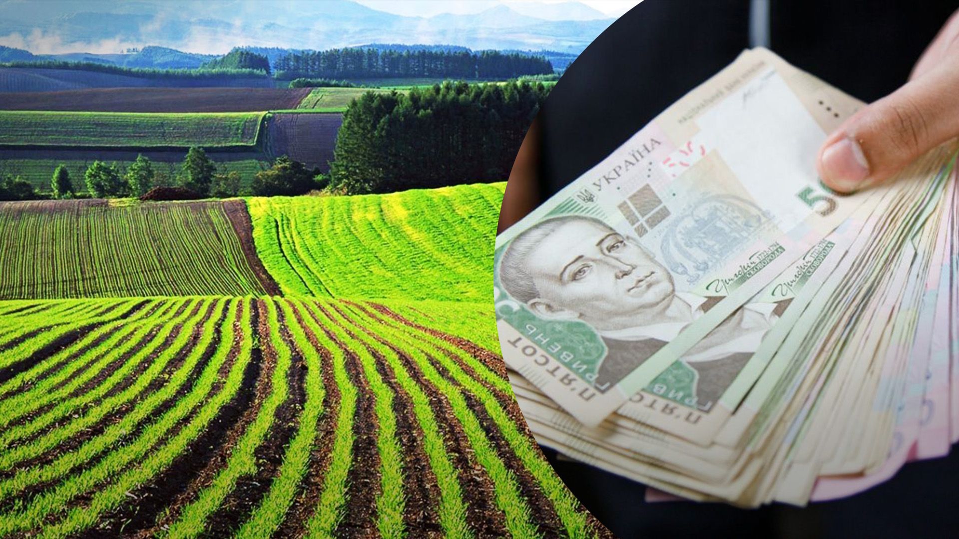 Чи можна продавати землю під час війни Чи можна продавати землю під час війни