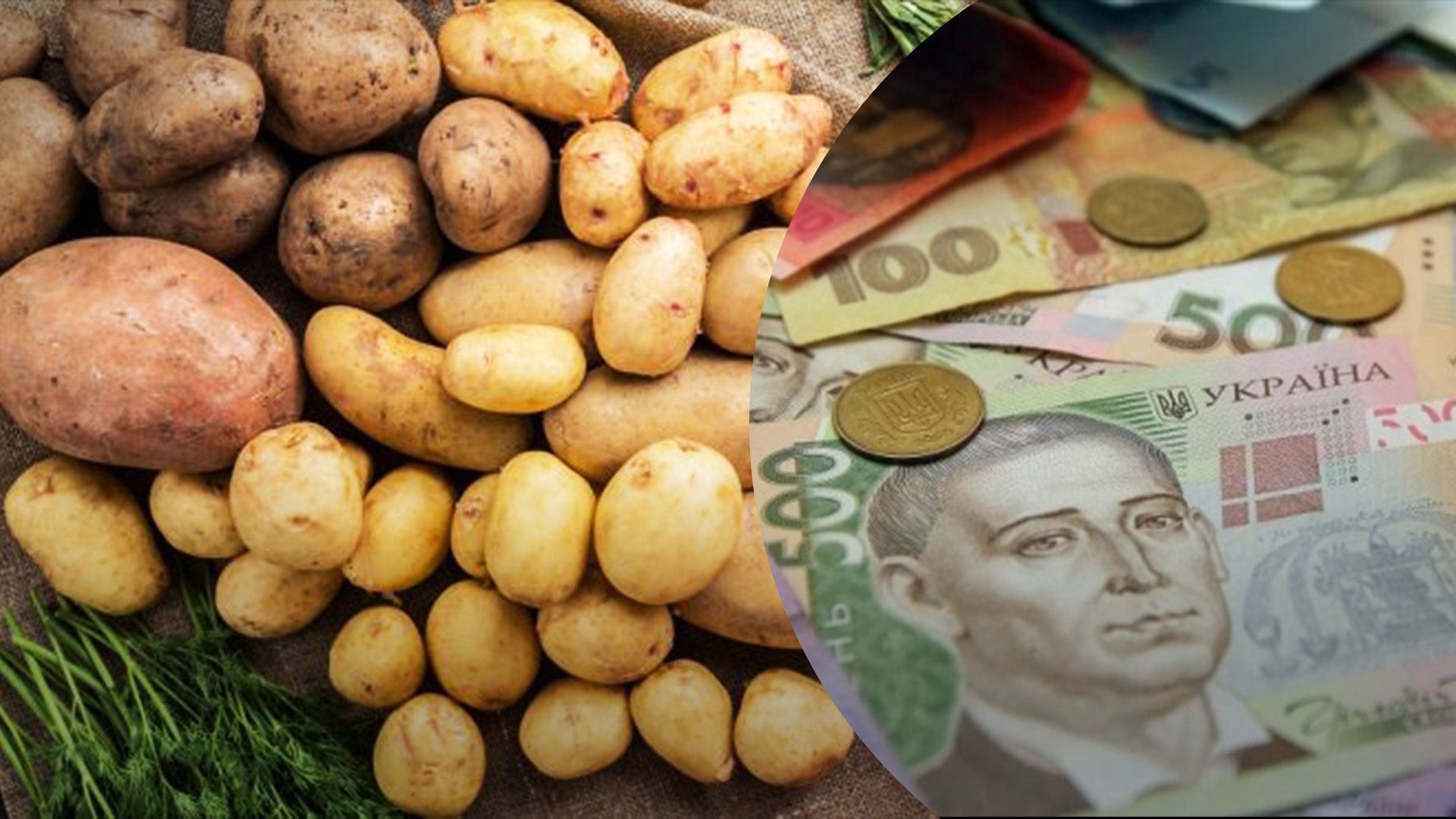Як змінились ціни на картоплю Як змінились ціни на картоплю