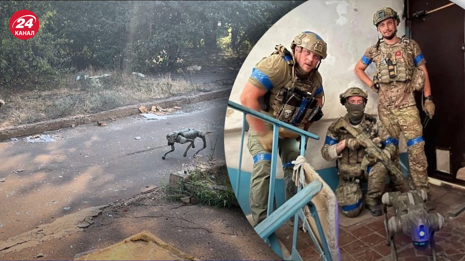 Украина использует роботов-собак на фронте Украина использует роботов-собак на фронте