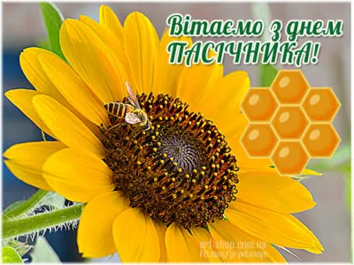 День пасечника День пасечника