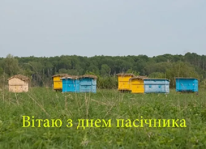 День пасечника День пасечника