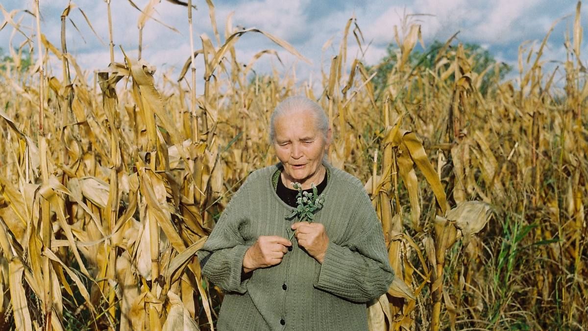 Як отримувати пенсію понад 6 000 гривень Як отримувати пенсію понад 6 000 гривень