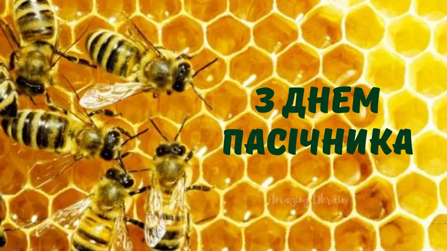 С Днем пасечника С Днем пасечника