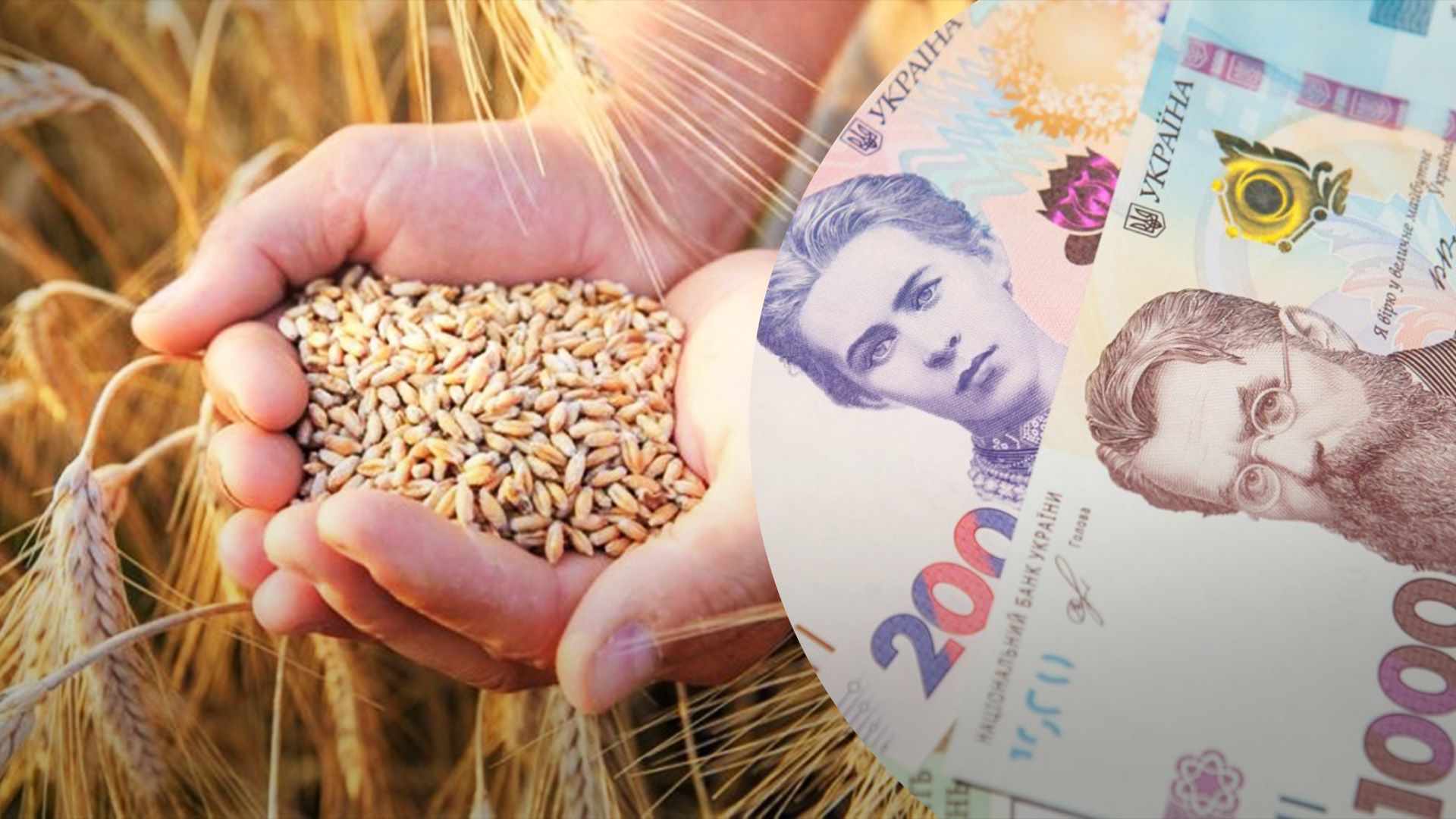 Цены на зерно выросли за год Цены на зерно выросли за год