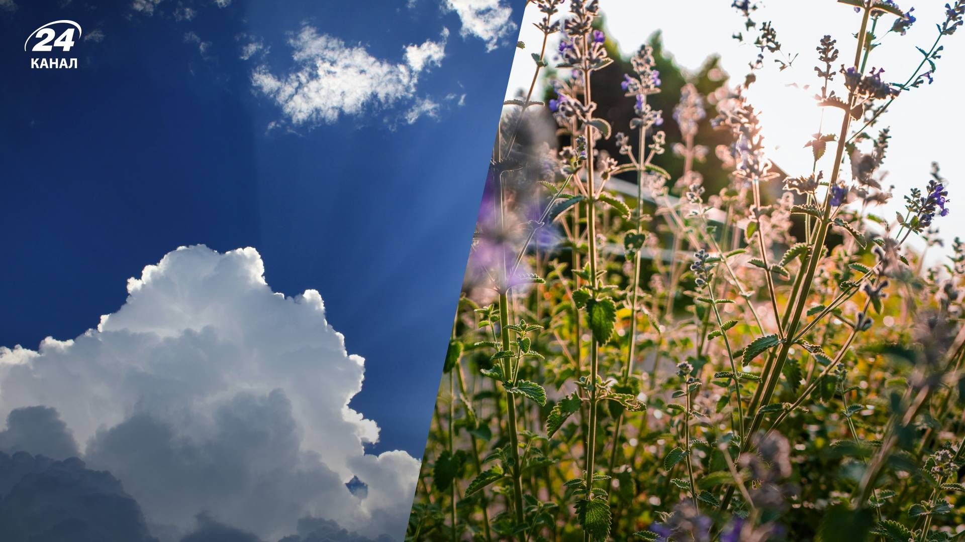 Прогноз погоди в Україні на 15 серпня - 24 Канал Прогноз погоди в Україні на 15 серпня - 24 Канал