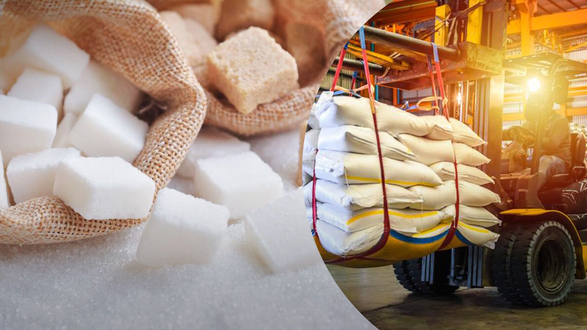 Цукор може подешевшати Цукор може подешевшати