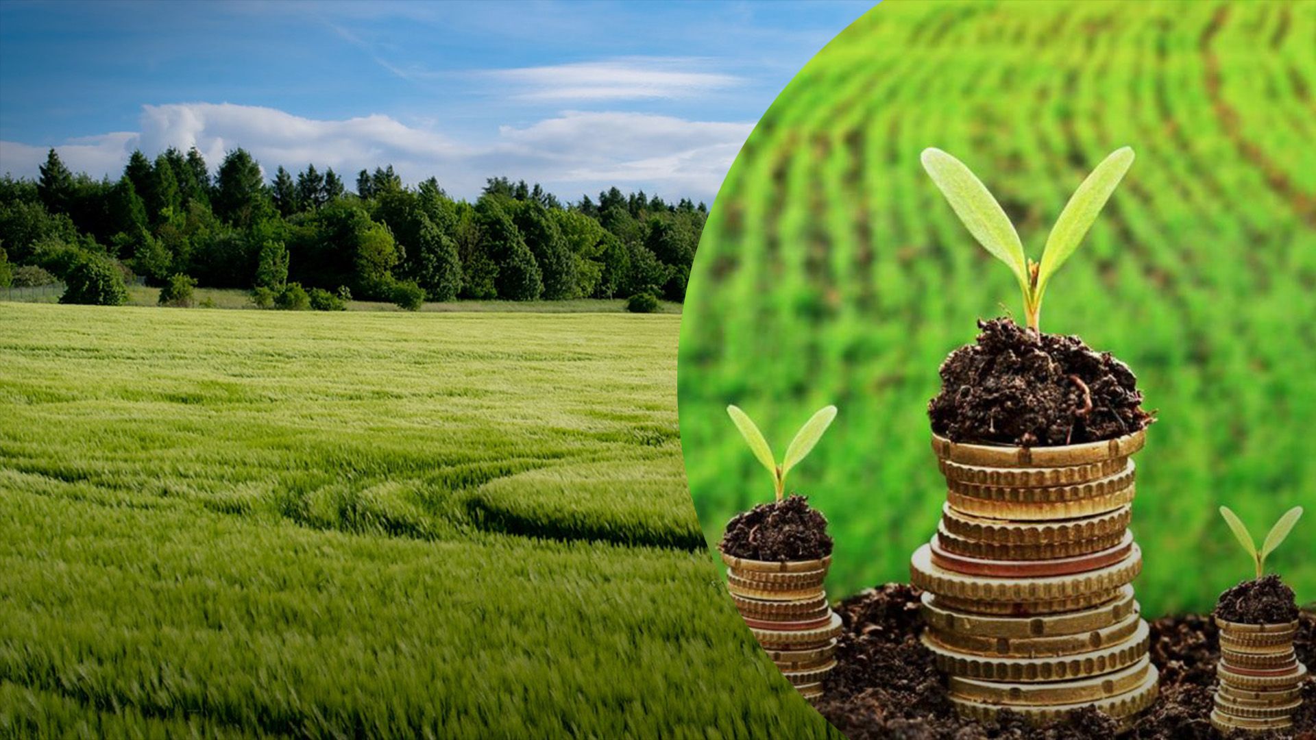 Как высчитать сумму земельного налога Как высчитать сумму земельного налога