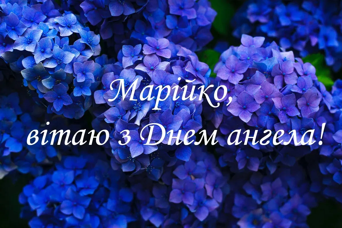 День ангела Марії День ангела Марії