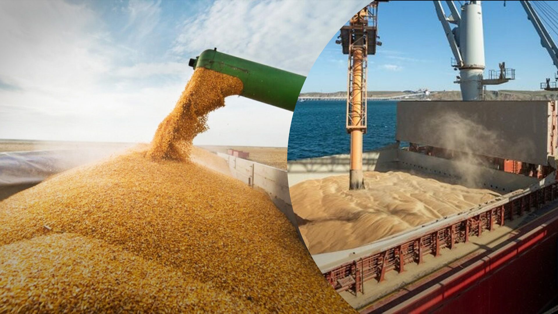 США прогнозируют больше экспорта пшеницы из Украины США прогнозируют больше экспорта пшеницы из Украины