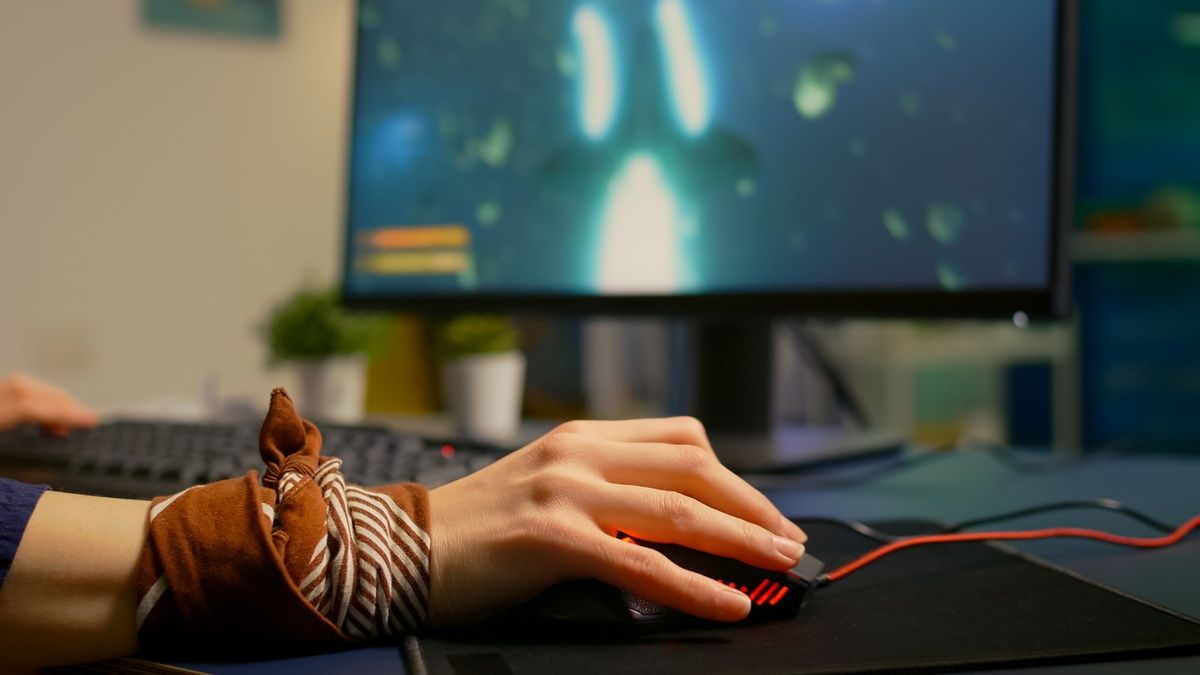 Кіберспортивна академія NAVI оголосила фіналістів