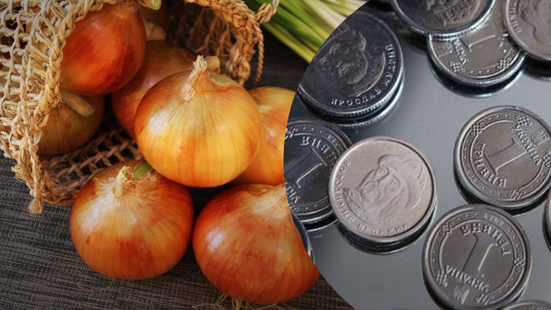 Лук дешевеет в Украине Лук дешевеет в Украине