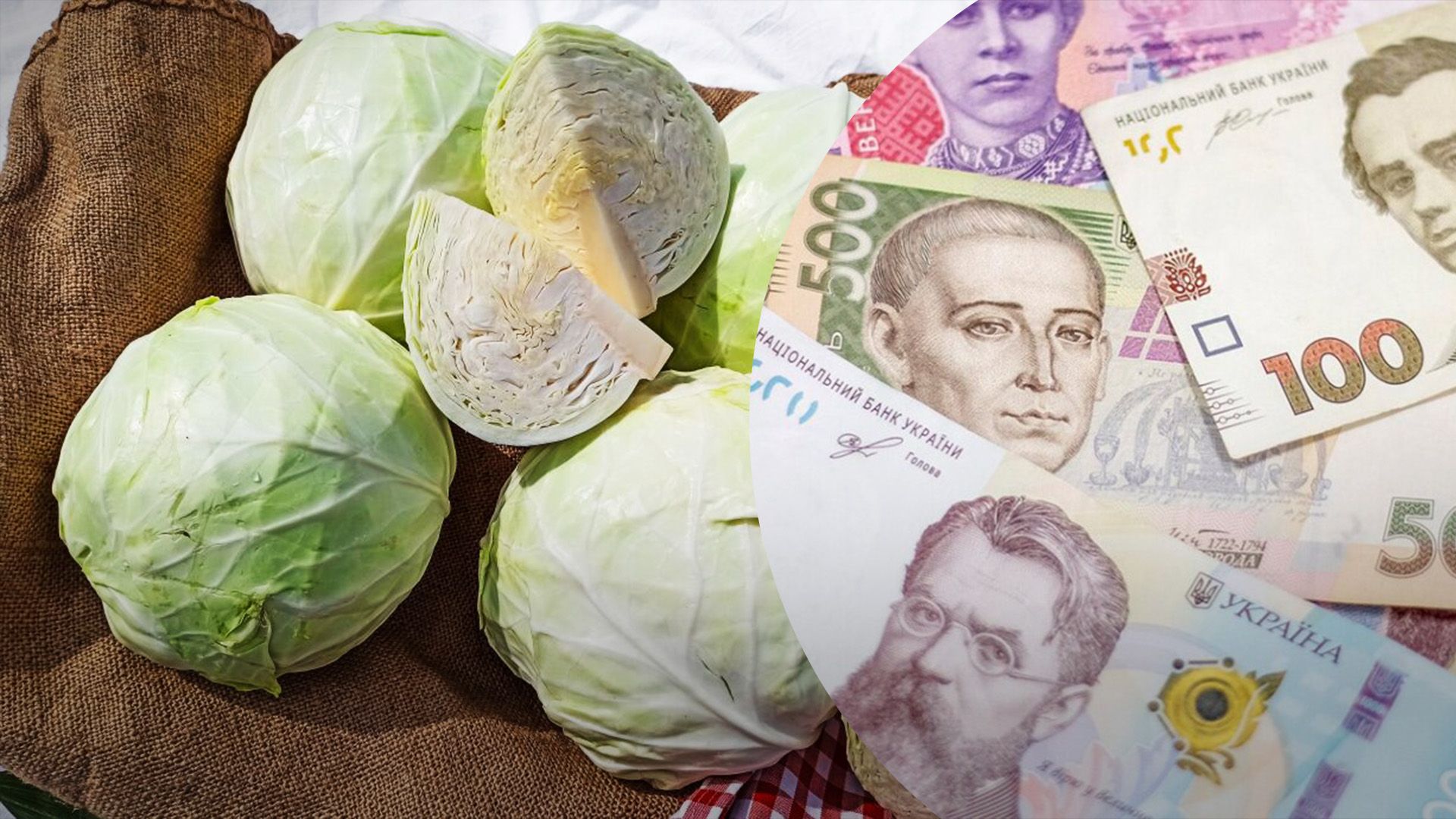 Капуста стала значно дорожча Капуста стала значно дорожча