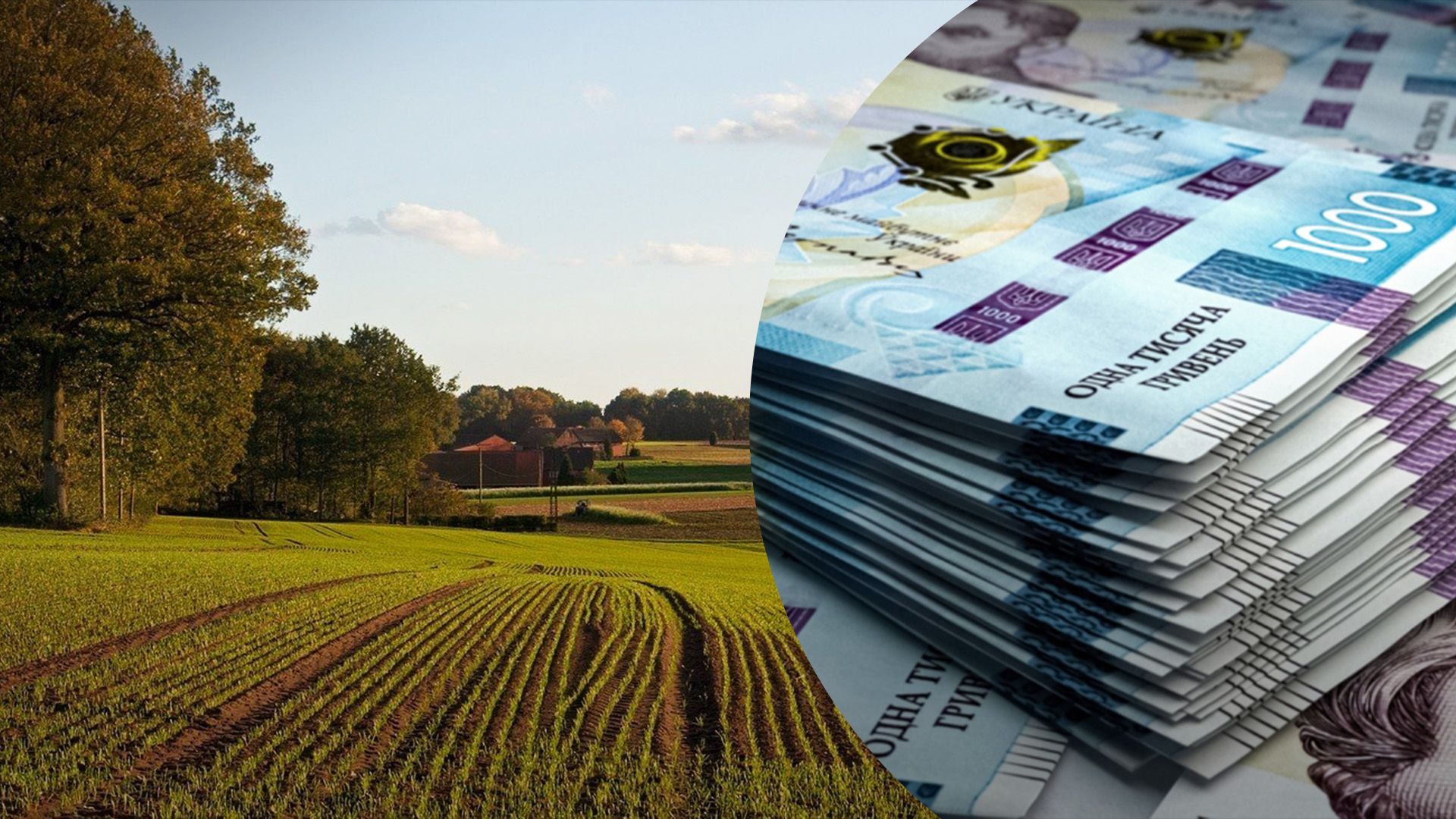 Как купить землю в 2024 году в Украине Как купить землю в 2024 году в Украине