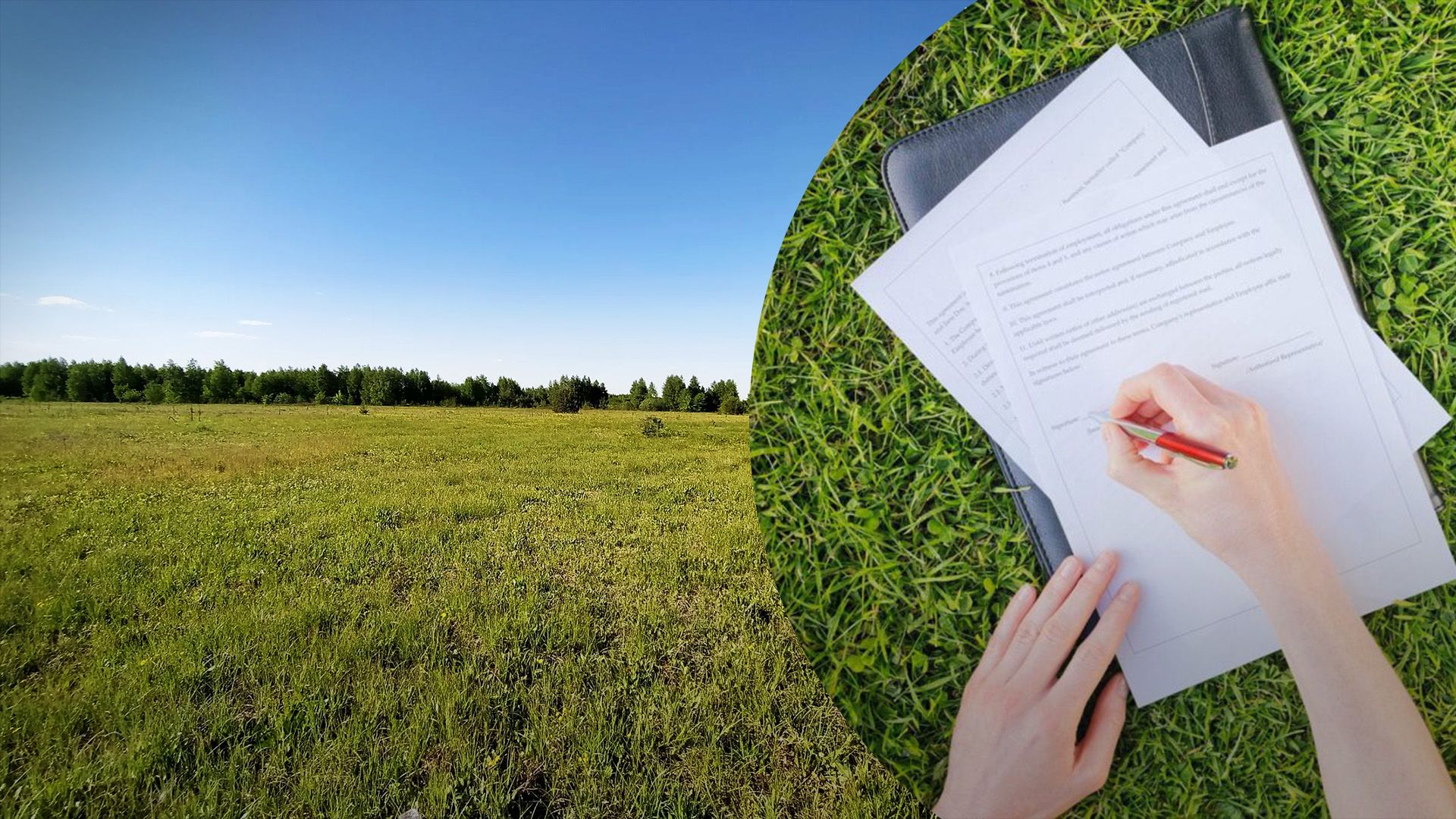 Приватизація землі членами фермерських господарств Приватизація землі членами фермерських господарств