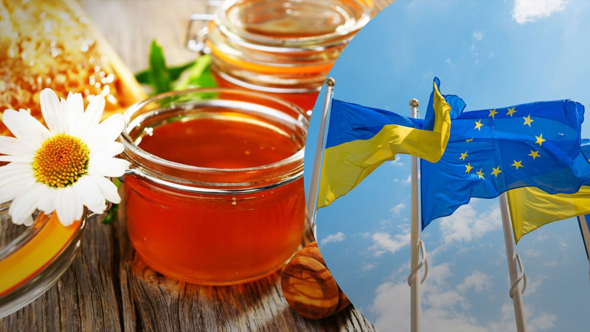 ЕС больше всего меда импортирует из Украины ЕС больше всего меда импортирует из Украины