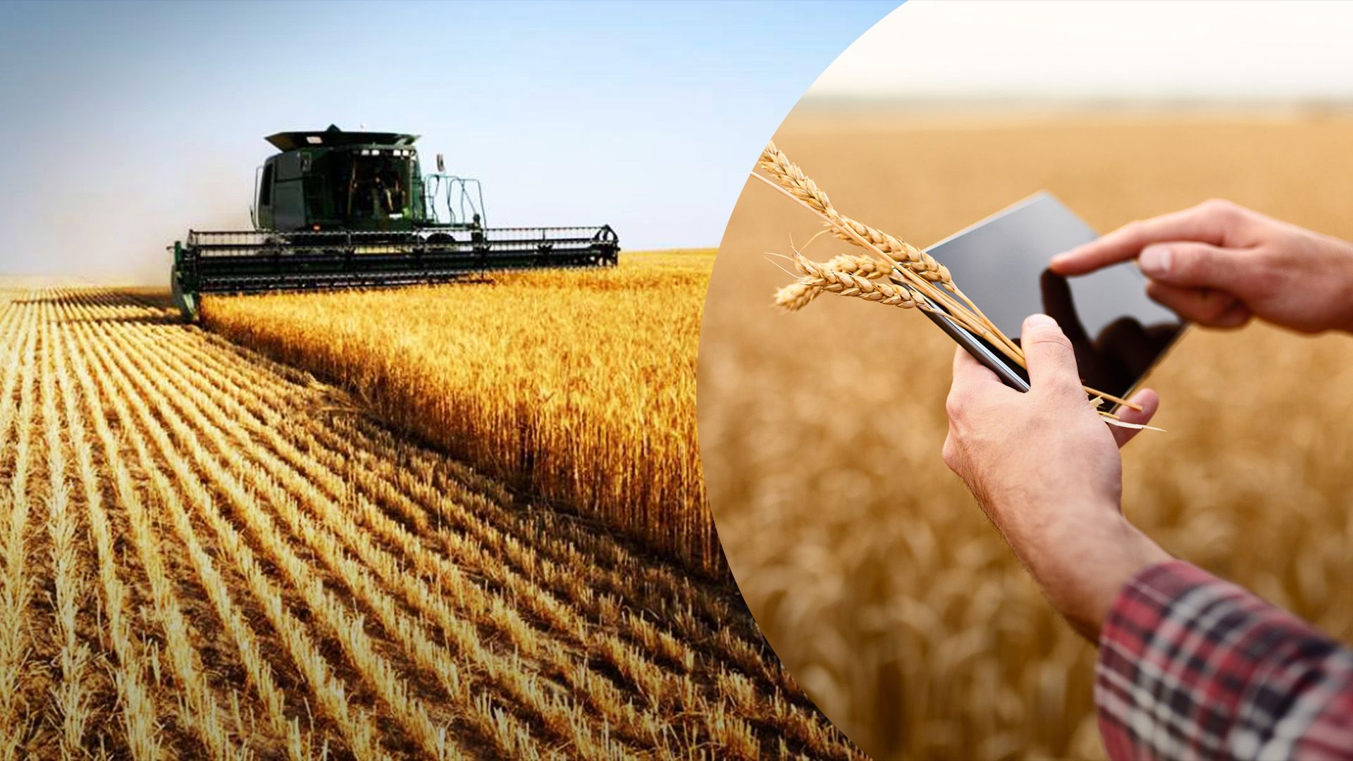 Прифронтовим фермерам обіцяють субсидії Прифронтовим фермерам обіцяють субсидії