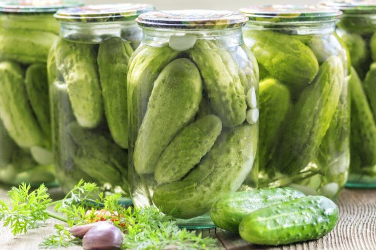 Маринованные огурцы - приготовьте с горчицей и медом - пошаговый рецепт - Новости Вкусно Маринованные огурцы - приготовьте с горчицей и медом - пошаговый рецепт - Новости Вкусно