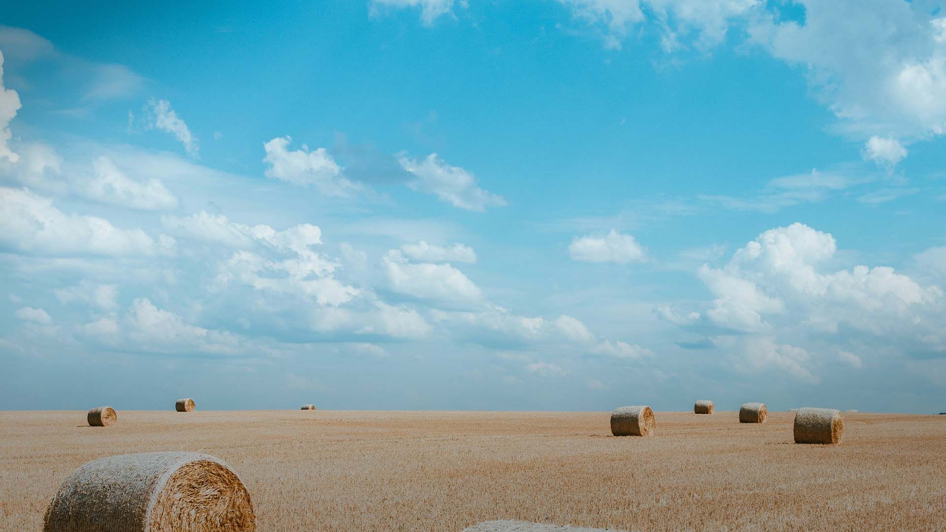 Погода в Україні на 18 серпня Погода в Україні на 18 серпня