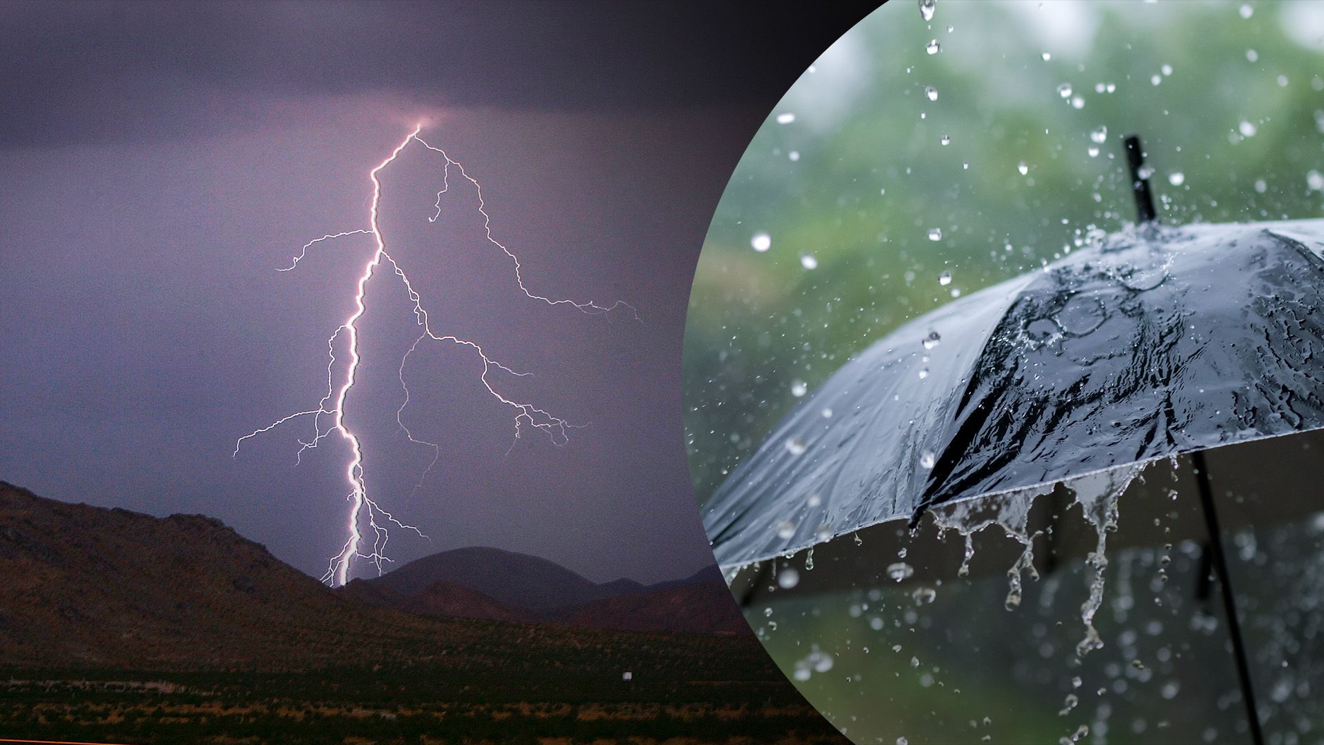 Ожидаются шквалы и гроза: на Запад и еще ряд областей идет непогода - 24 Канал Ожидаются шквалы и гроза: на Запад и еще ряд областей идет непогода - 24 Канал