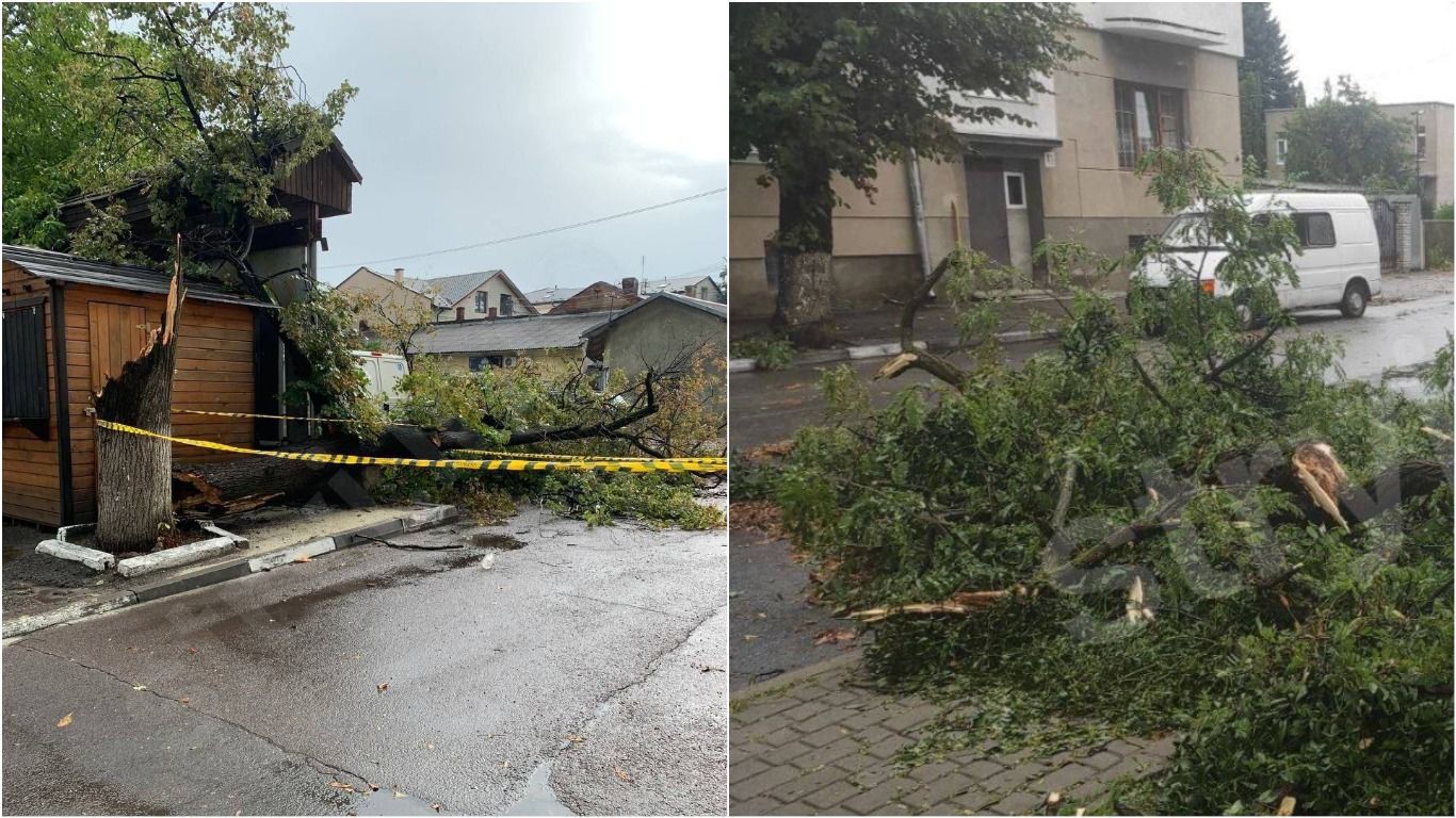 Ріки на вулицях і повалені дерева: по Львівщині вдарила негода - 24 Канал Ріки на вулицях і повалені дерева: по Львівщині вдарила негода - 24 Канал