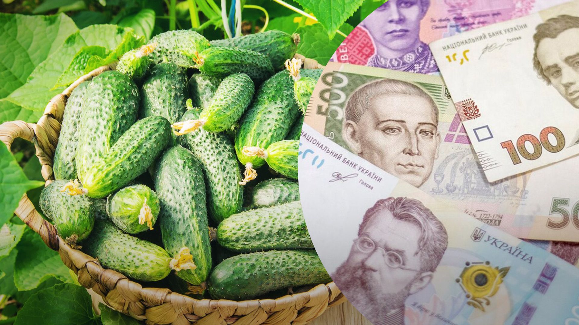 Огірки та капуста дорожчають Огірки та капуста дорожчають