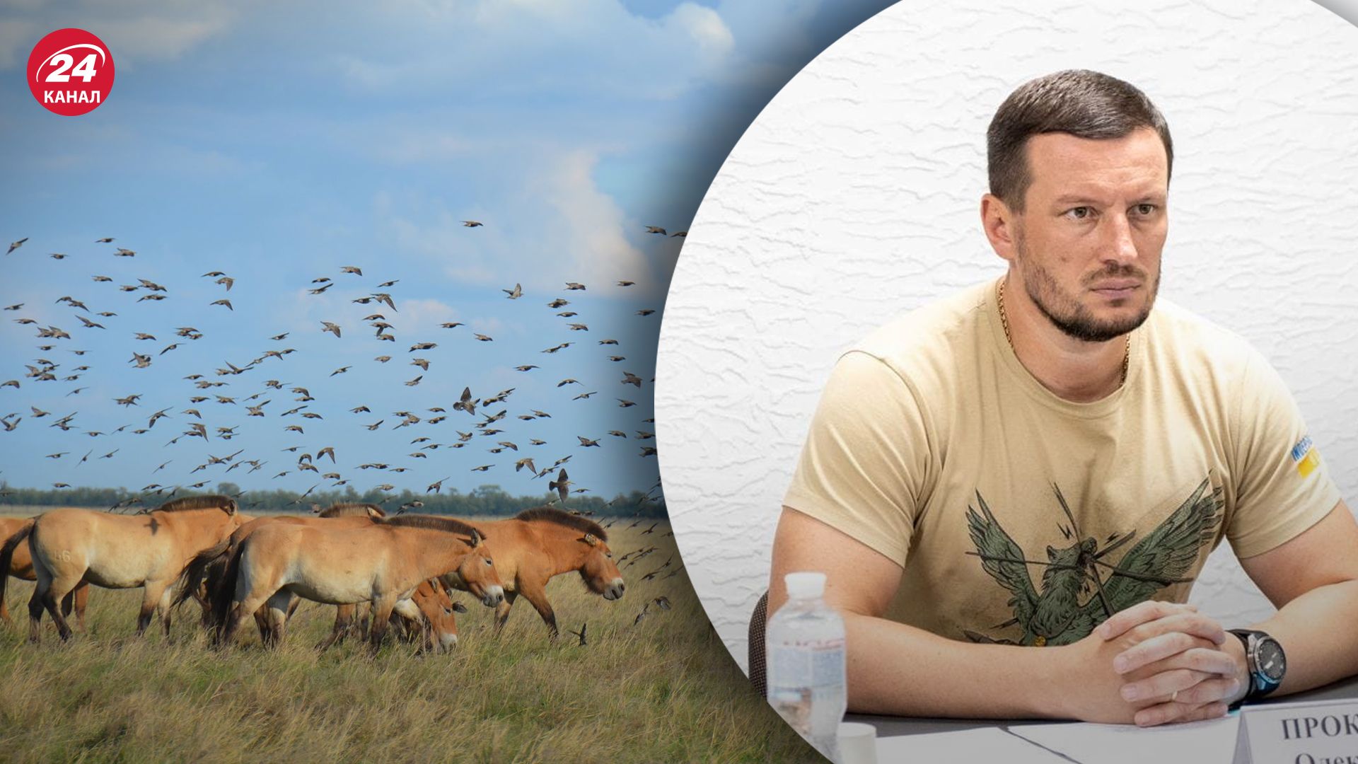 Чи справді окупанти повністю знищили заповідник Асканія-Нова Чи справді окупанти повністю знищили заповідник Асканія-Нова