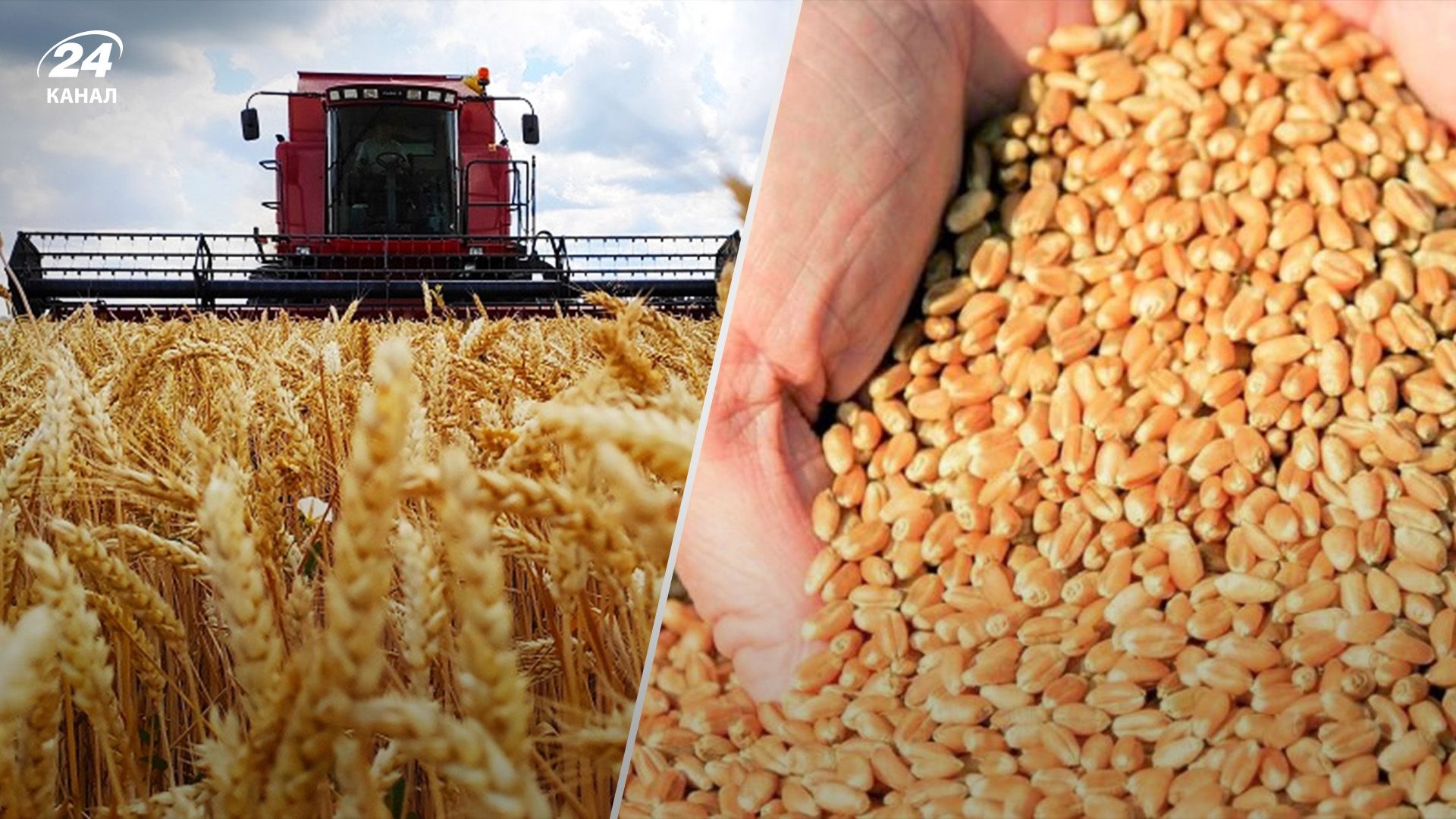 Попит на експортні перевезення впав Попит на експортні перевезення впав