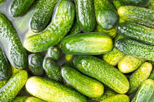 Огурцы Огурцы