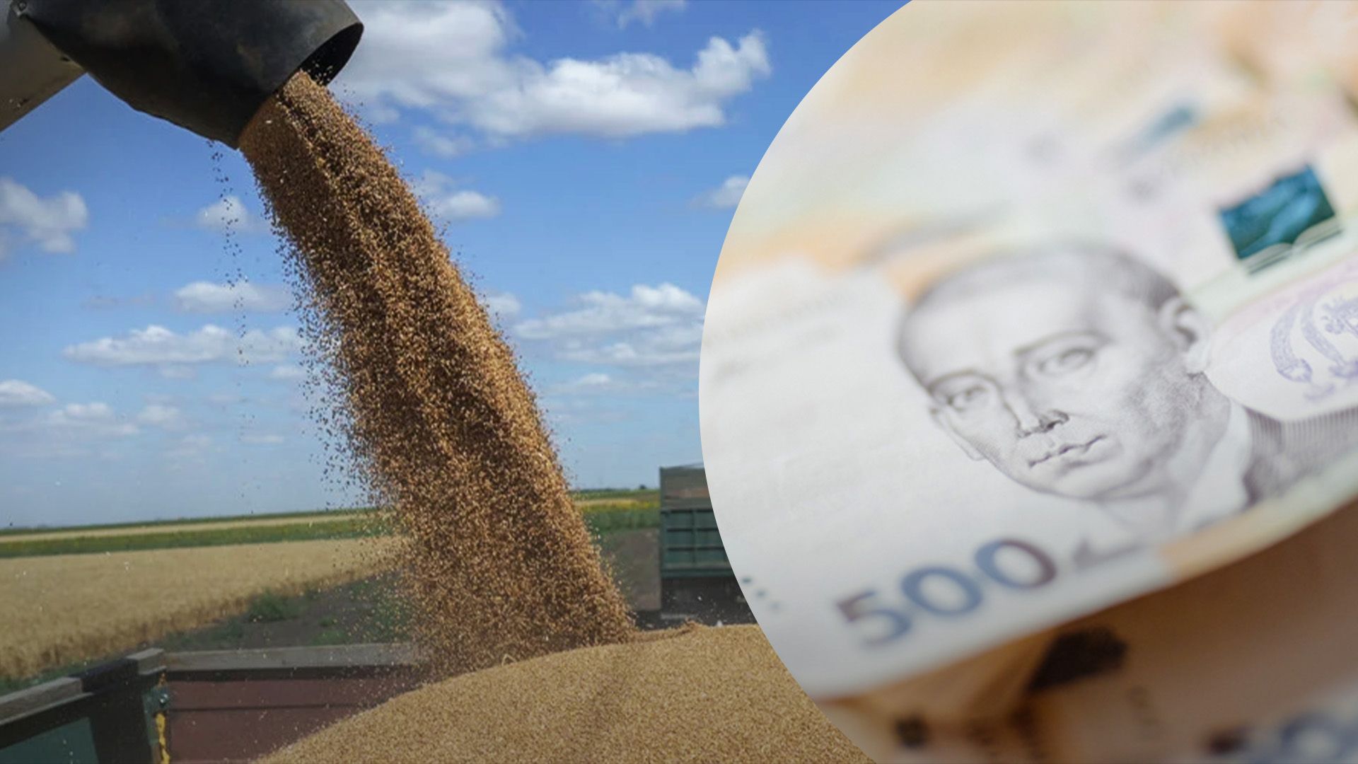 Зерно за місяць подорожчало Зерно за місяць подорожчало