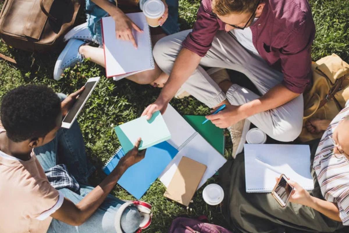 Грант на обучение - какие коэффициенты установили на разных специальностях Грант на обучение - какие коэффициенты установили на разных специальностях