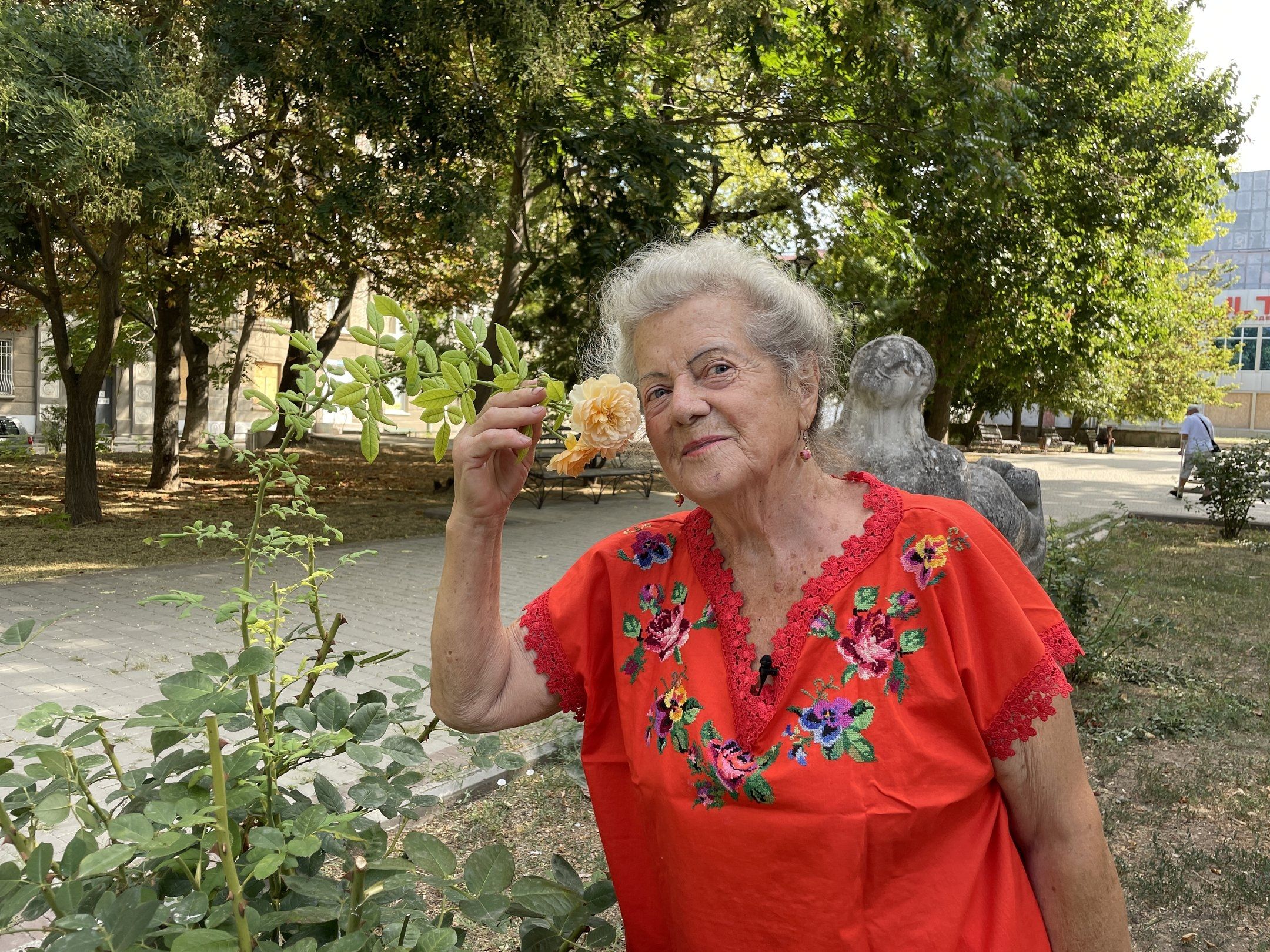 88-летняя женщина третий год ухаживает за городскими розами 88-летняя женщина третий год ухаживает за городскими розами