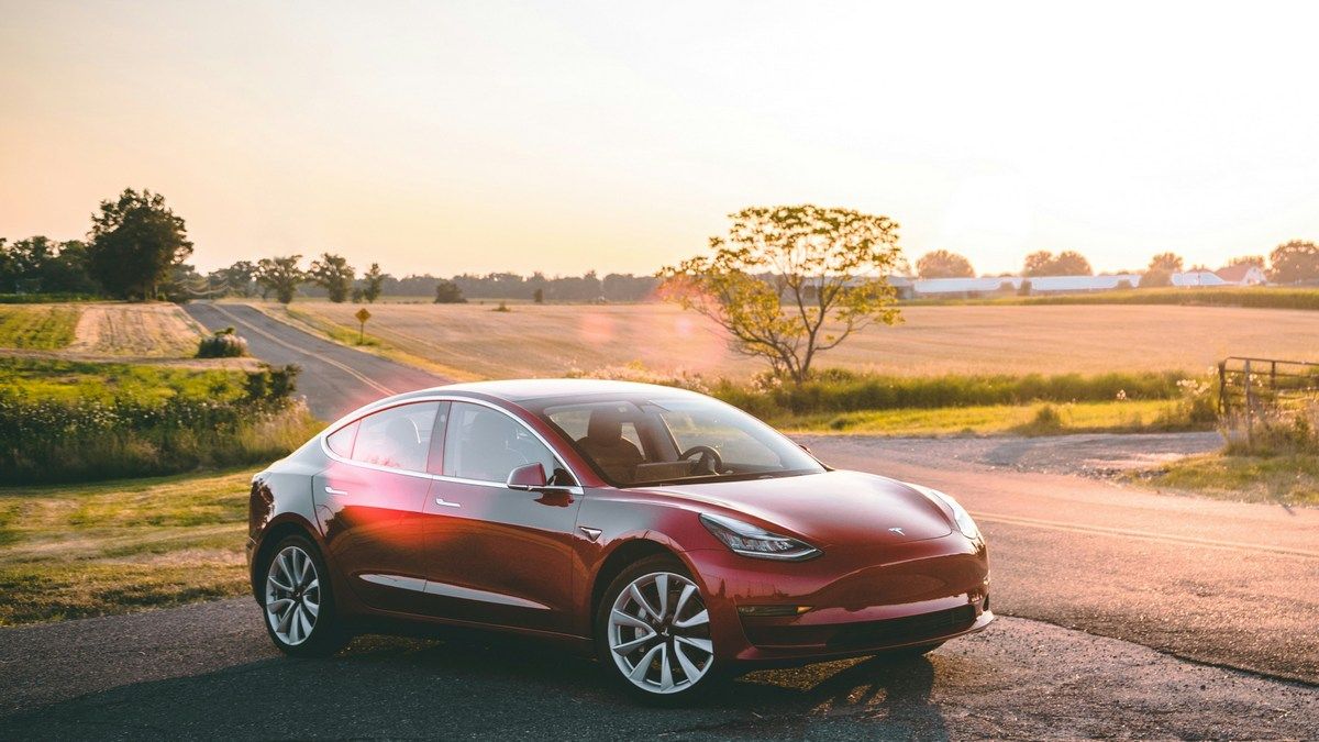 Автомобили Tesla Model 3 хранятся на поле во Флориде, страдая от дождей и животных Автомобили Tesla Model 3 хранятся на поле во Флориде, страдая от дождей и животных