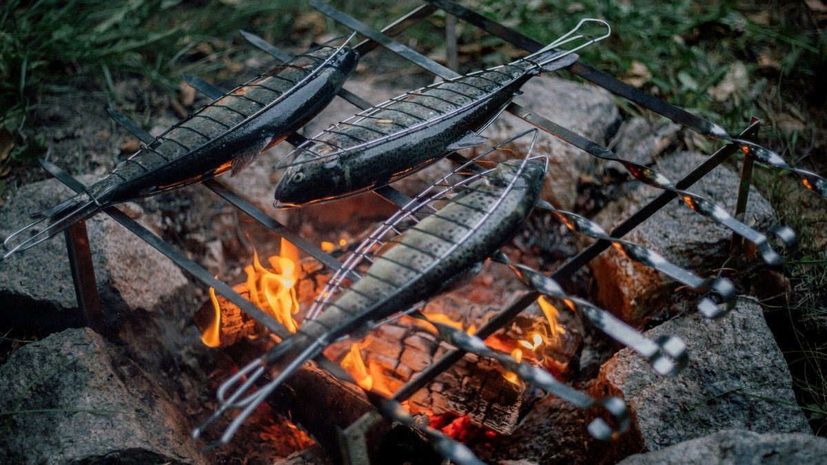 Людський вид почав готувати їжу близько двох мільйонів років тому Людський вид почав готувати їжу близько двох мільйонів років тому
