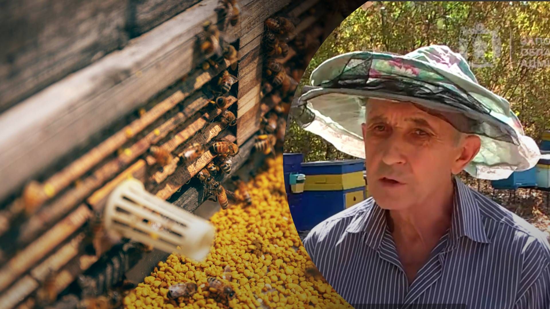 запоріжжя - Тренди запоріжжя - Тренди