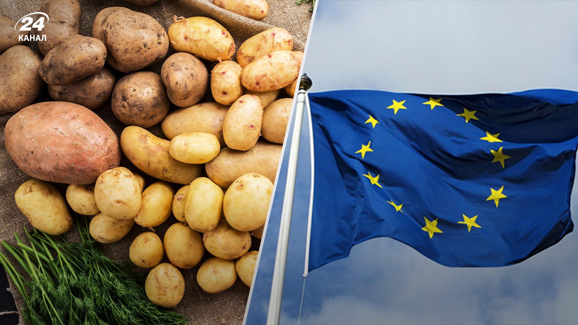 В ЄС очікують здорожчання картоплі В ЄС очікують здорожчання картоплі
