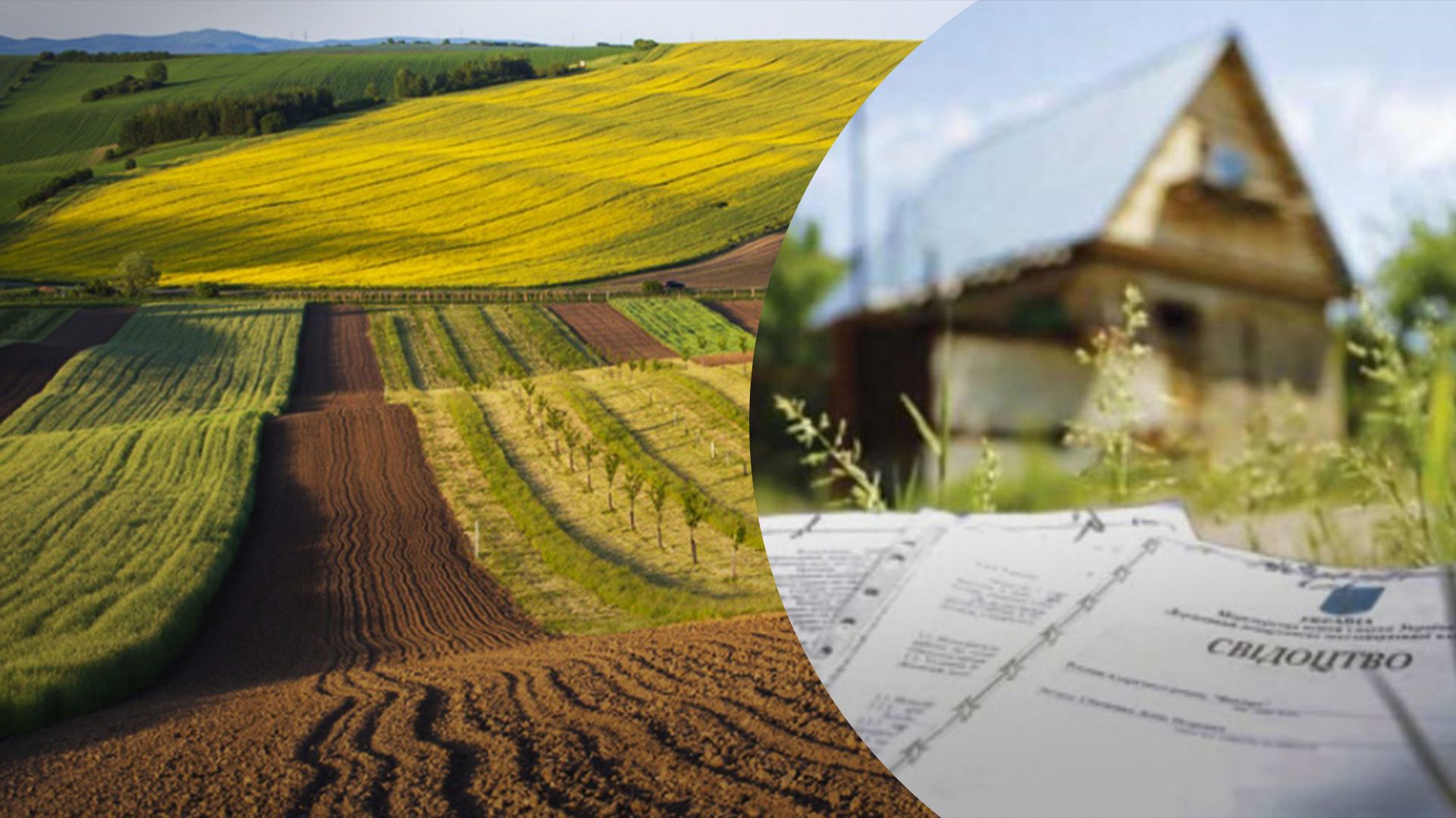 Кто имеет льготные условия на получение участка Кто имеет льготные условия на получение участка