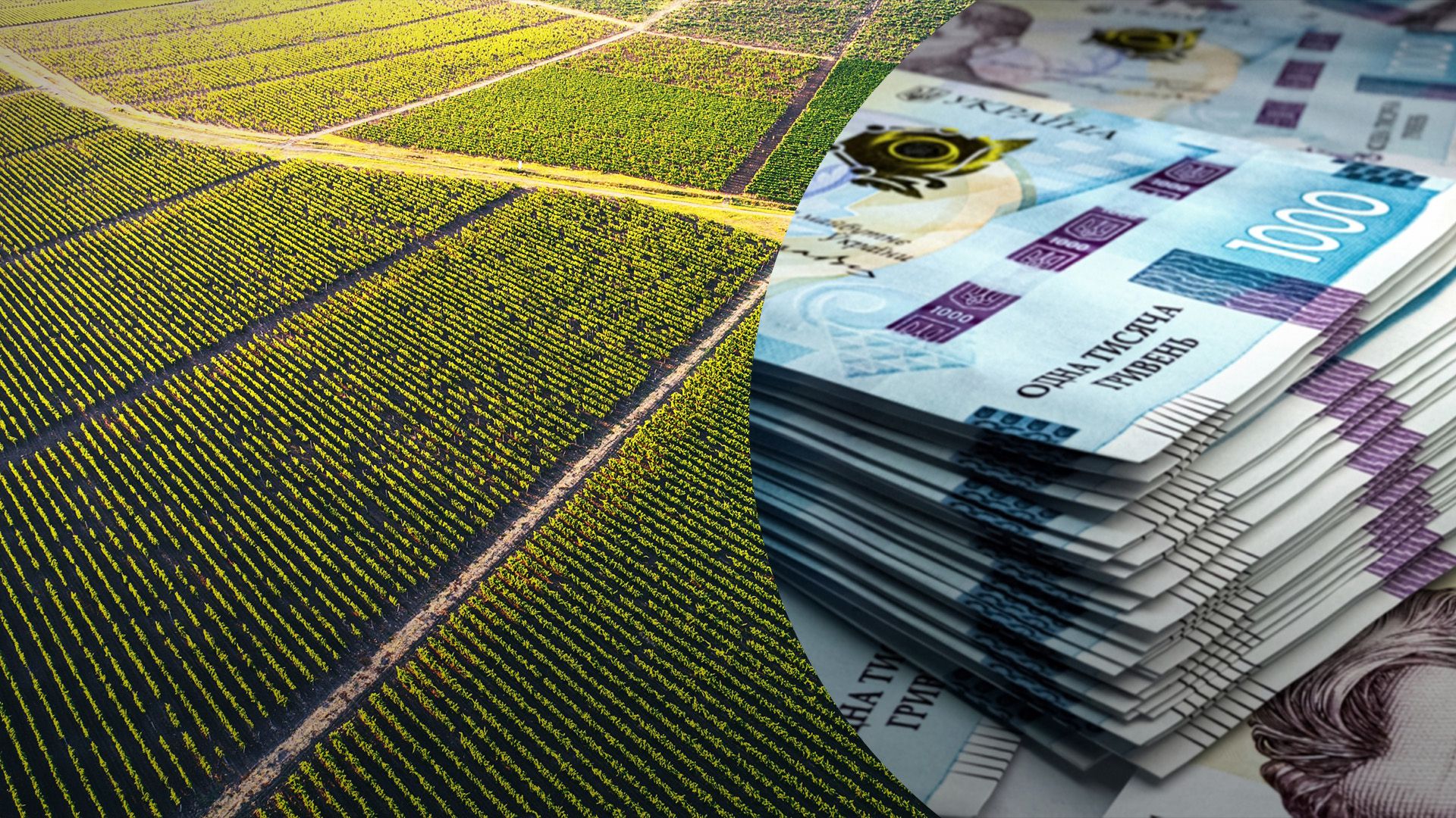 Як визначити вартість землі при продажі Як визначити вартість землі при продажі