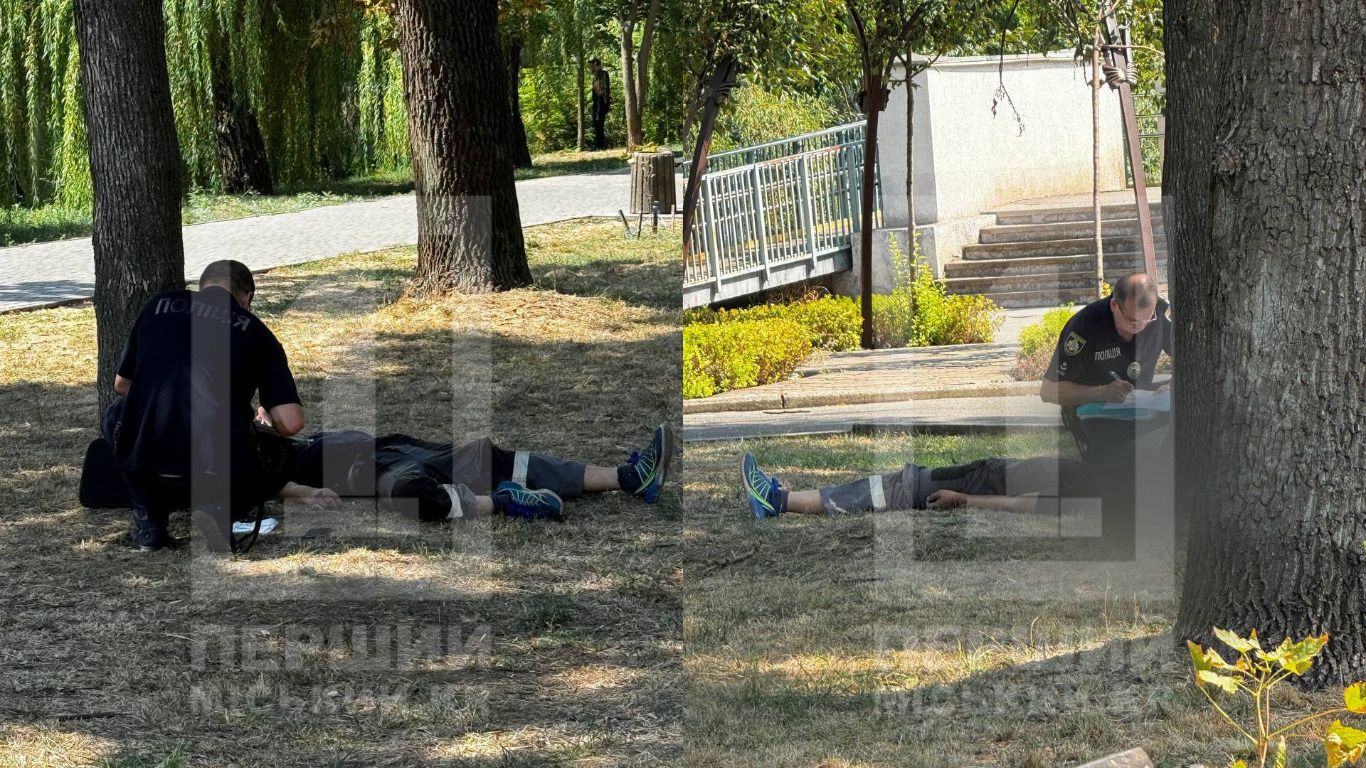 У Кривому Розі чоловіка до смерті закусали шершні У Кривому Розі чоловіка до смерті закусали шершні