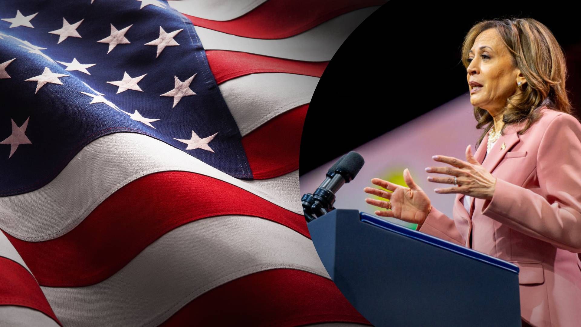 2 Демократическая партия официально утвердила Камалу Харрис кандидатом на пост президента США - 24 Канал 2 Демократическая партия официально утвердила Камалу Харрис кандидатом на пост президента США - 24 Канал