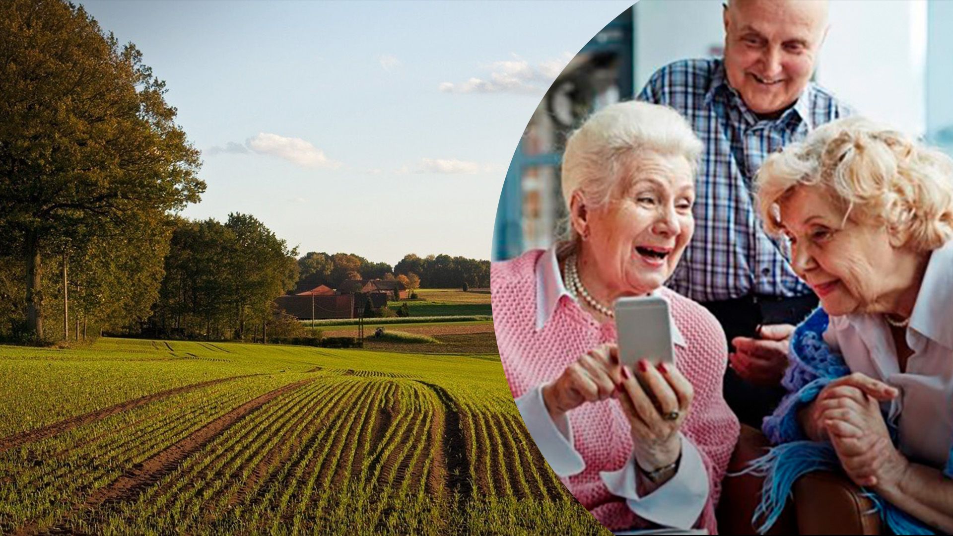 Надо ли пенсионерам платить за землю Надо ли пенсионерам платить за землю