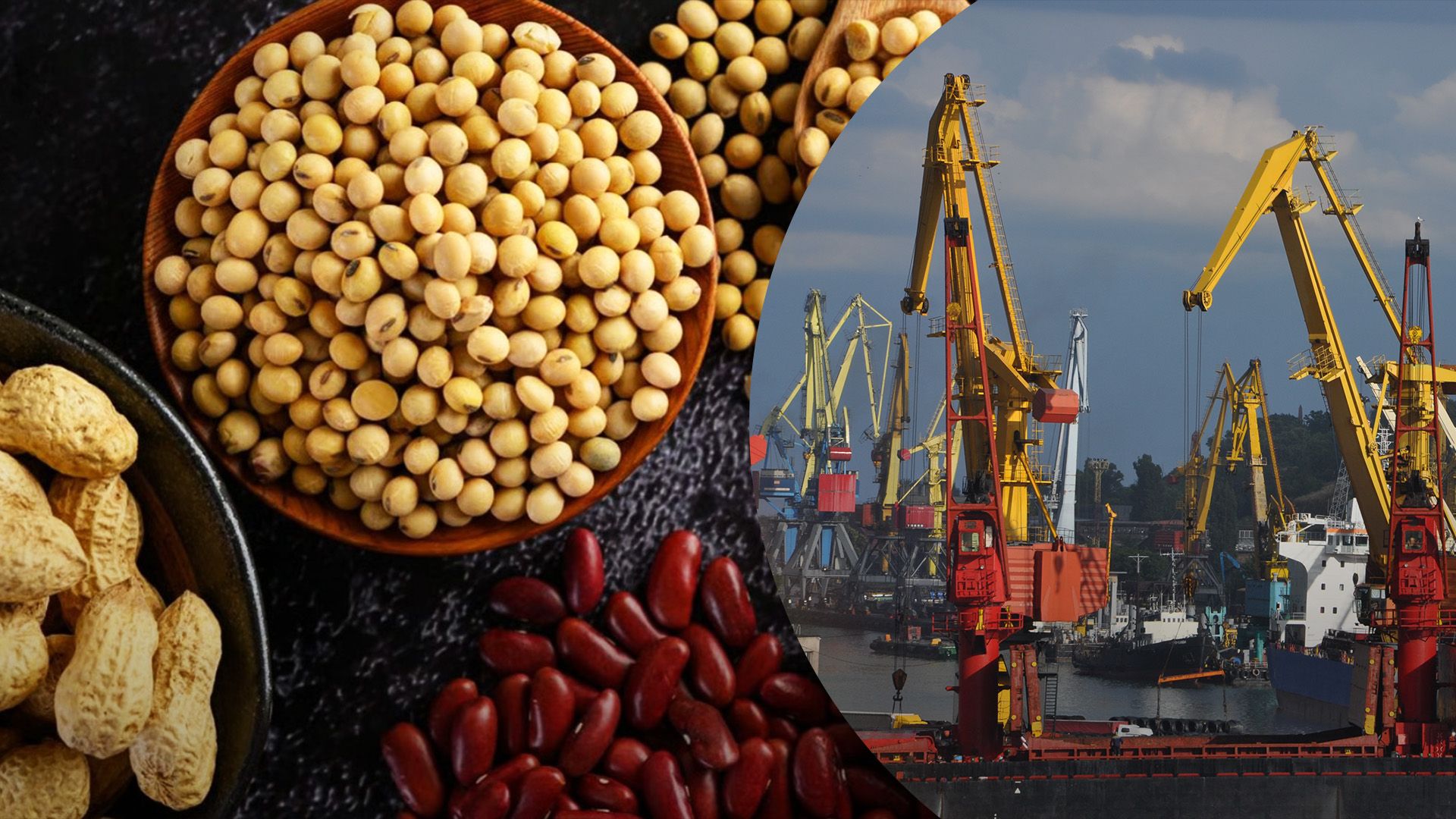 В Україні може бути нестача насіння бобових В Україні може бути нестача насіння бобових