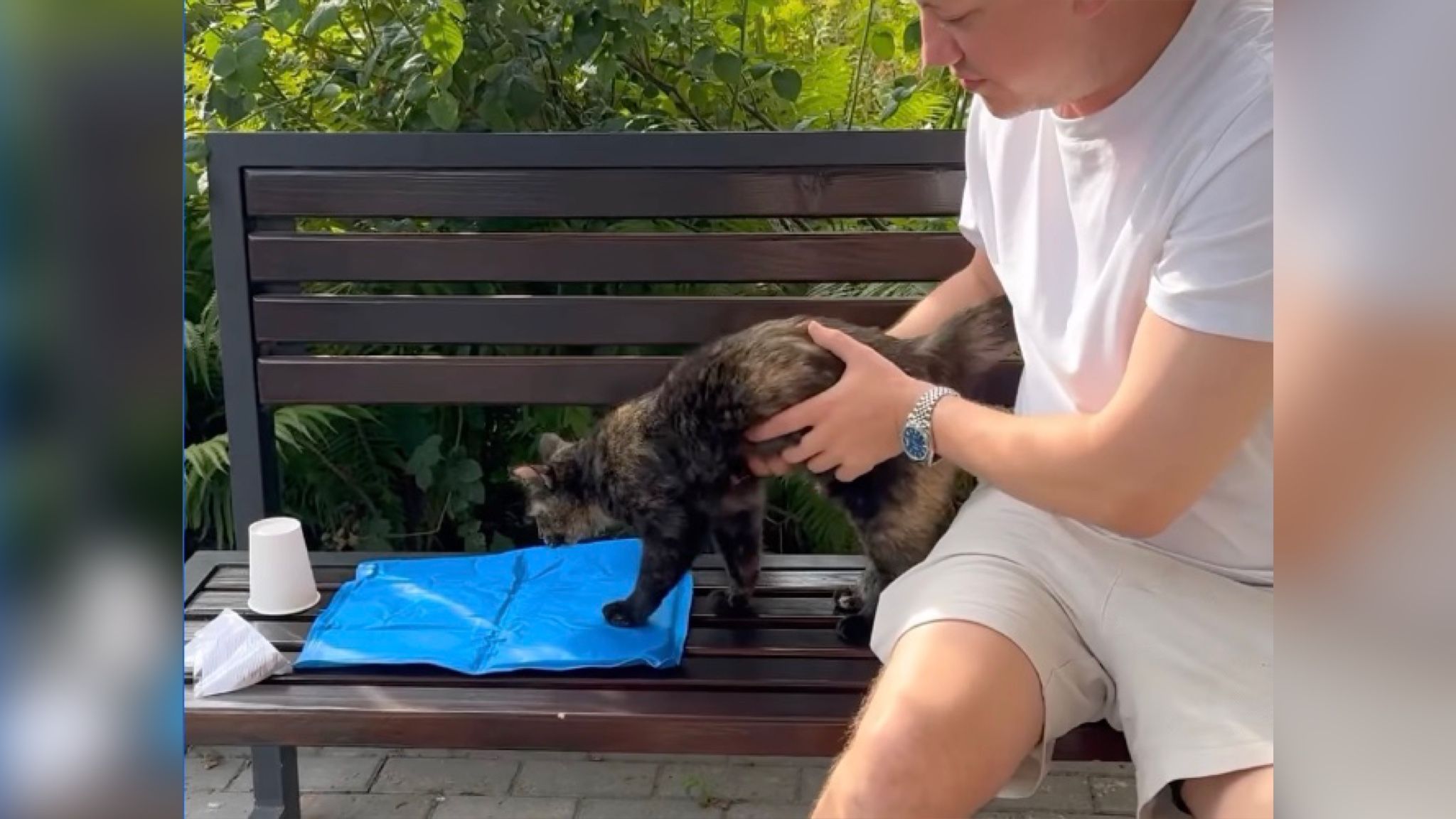 Алексей Дурнев принес коту охлаждающий коврик Алексей Дурнев принес коту охлаждающий коврик