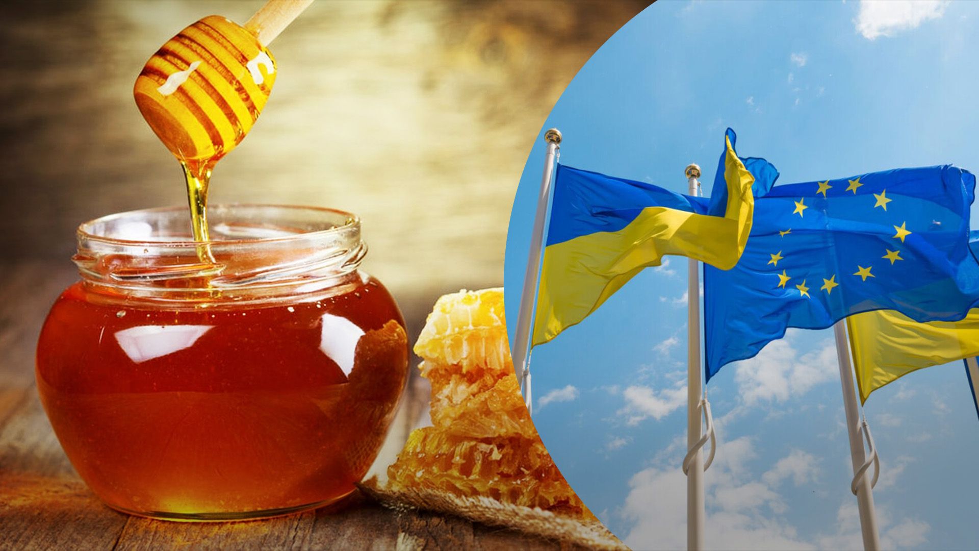 ЄС повертає мита на мед з України ЄС повертає мита на мед з України