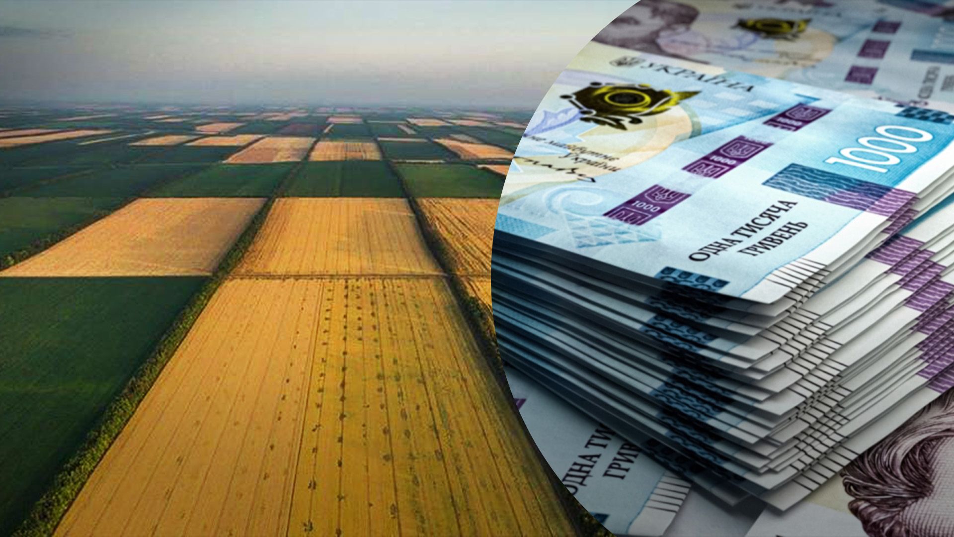 Скільки коштує пай у 2024 році Скільки коштує пай у 2024 році