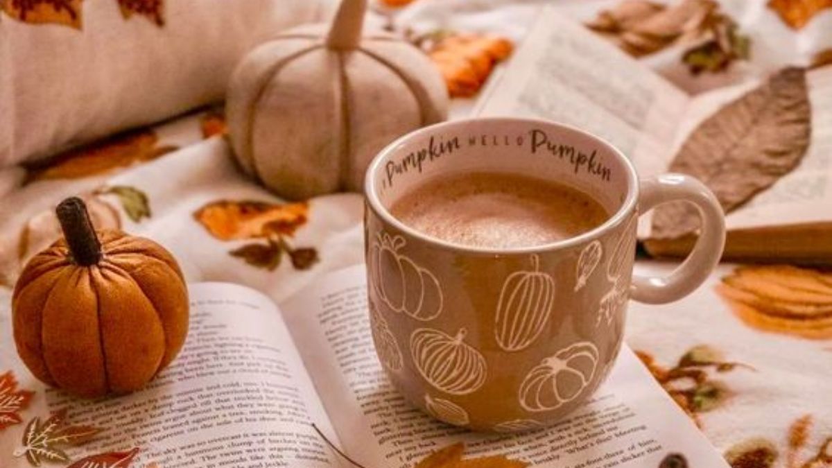 Скільки днів залишилося до 1 вересня 2024 Скільки днів залишилося до 1 вересня 2024