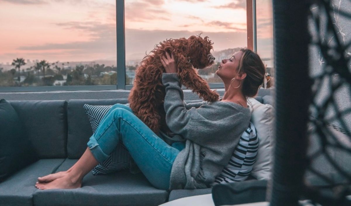 Выбор домашнего животного показывает истинный характер человека Выбор домашнего животного показывает истинный характер человека