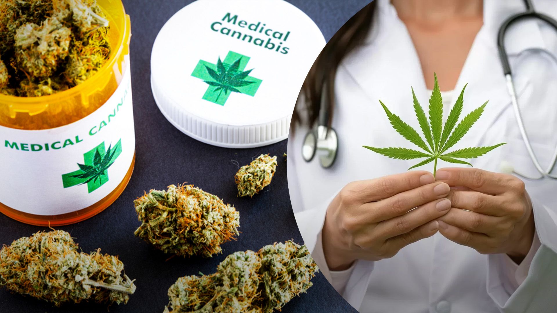 Як отримати дозвіл на вирощування канабісу Як отримати дозвіл на вирощування канабісу